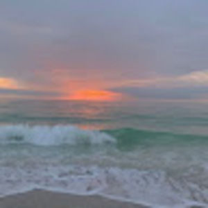 Meet your Posher, Ella